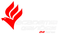 ACADEMIA GAVIÕES